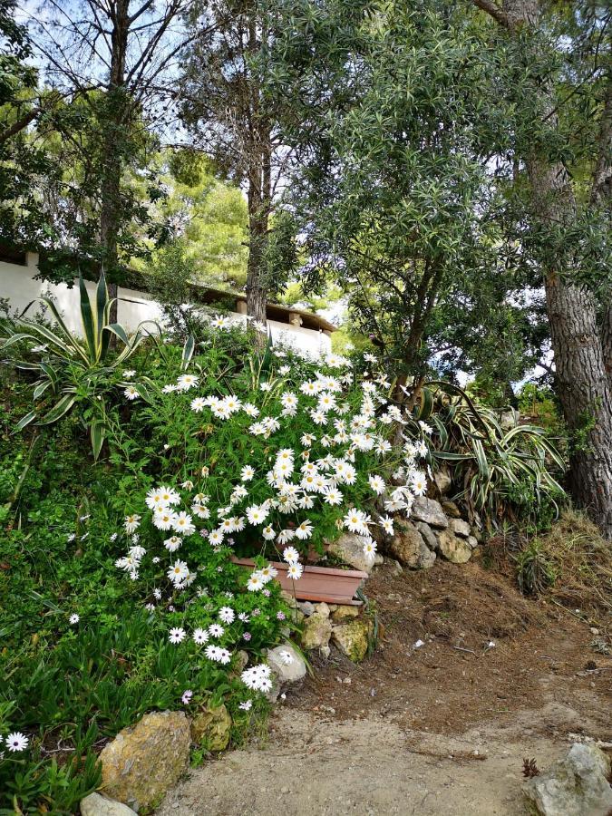 Apartamento Entre La Playa Y La Montana Calafell Bagian luar foto